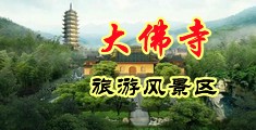 女艹B网站网站中国浙江-新昌大佛寺旅游风景区